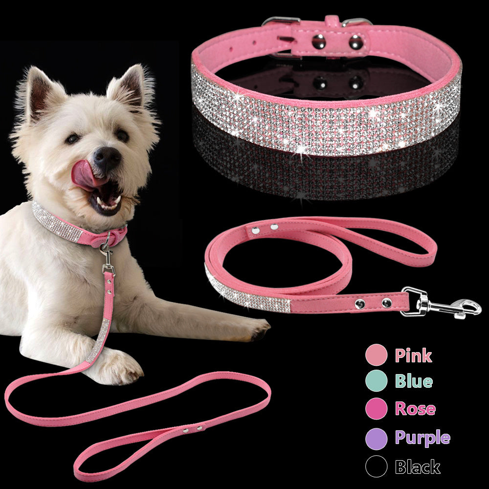 Hot Dog Collar - Stylish & Durable Collars for Every Dog