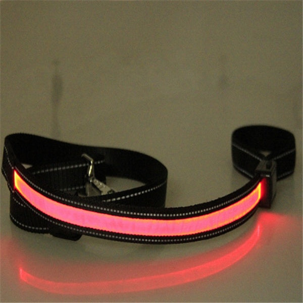 Fluorescent Dog Collar - High Visibility for Night Safety