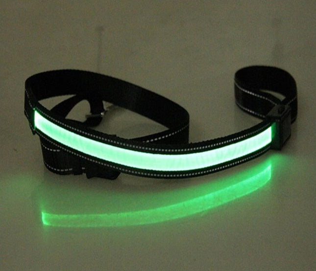 Fluorescent Dog Collar - High Visibility for Night Safety