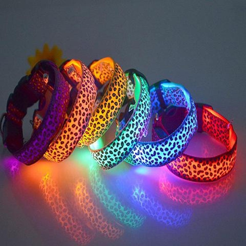 lighted dog collar