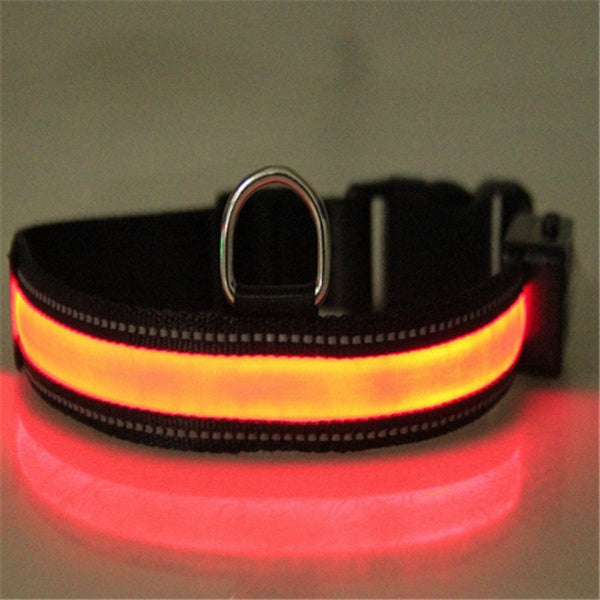 Fluorescent Dog Collar - High Visibility for Night Safety