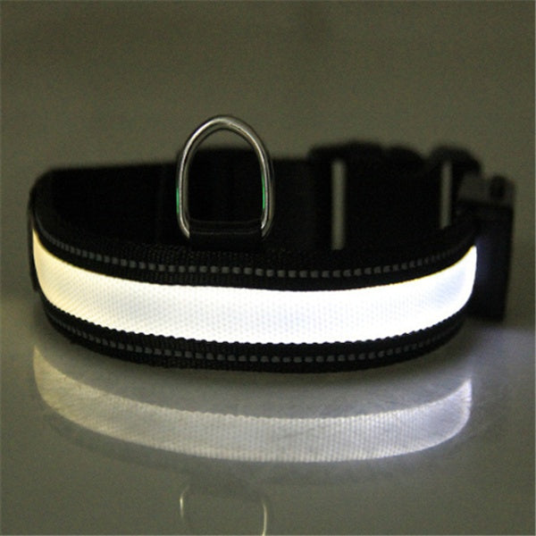 Fluorescent Dog Collar - High Visibility for Night Safety