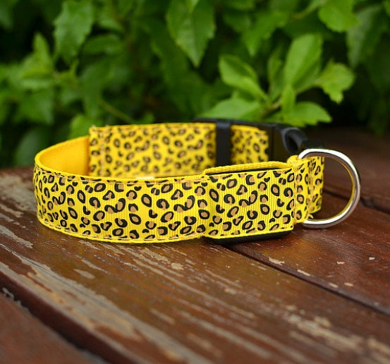 lighted dog collar