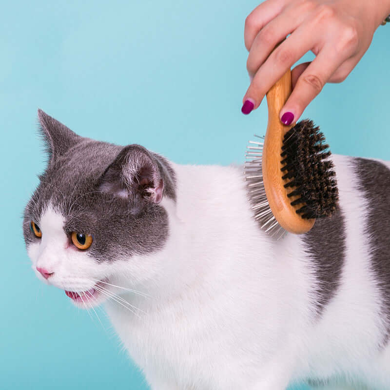 Pet Fur Detangling Brush