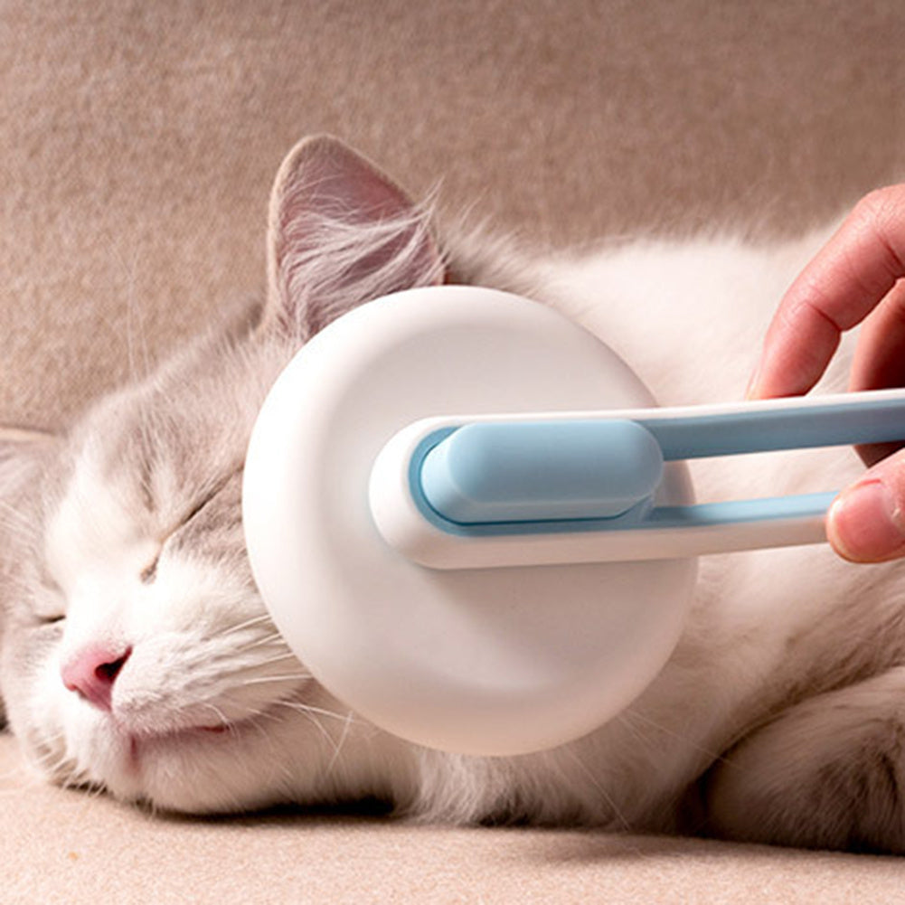 Best Brush for Cats - Reduce Shedding & Boost Fur Health