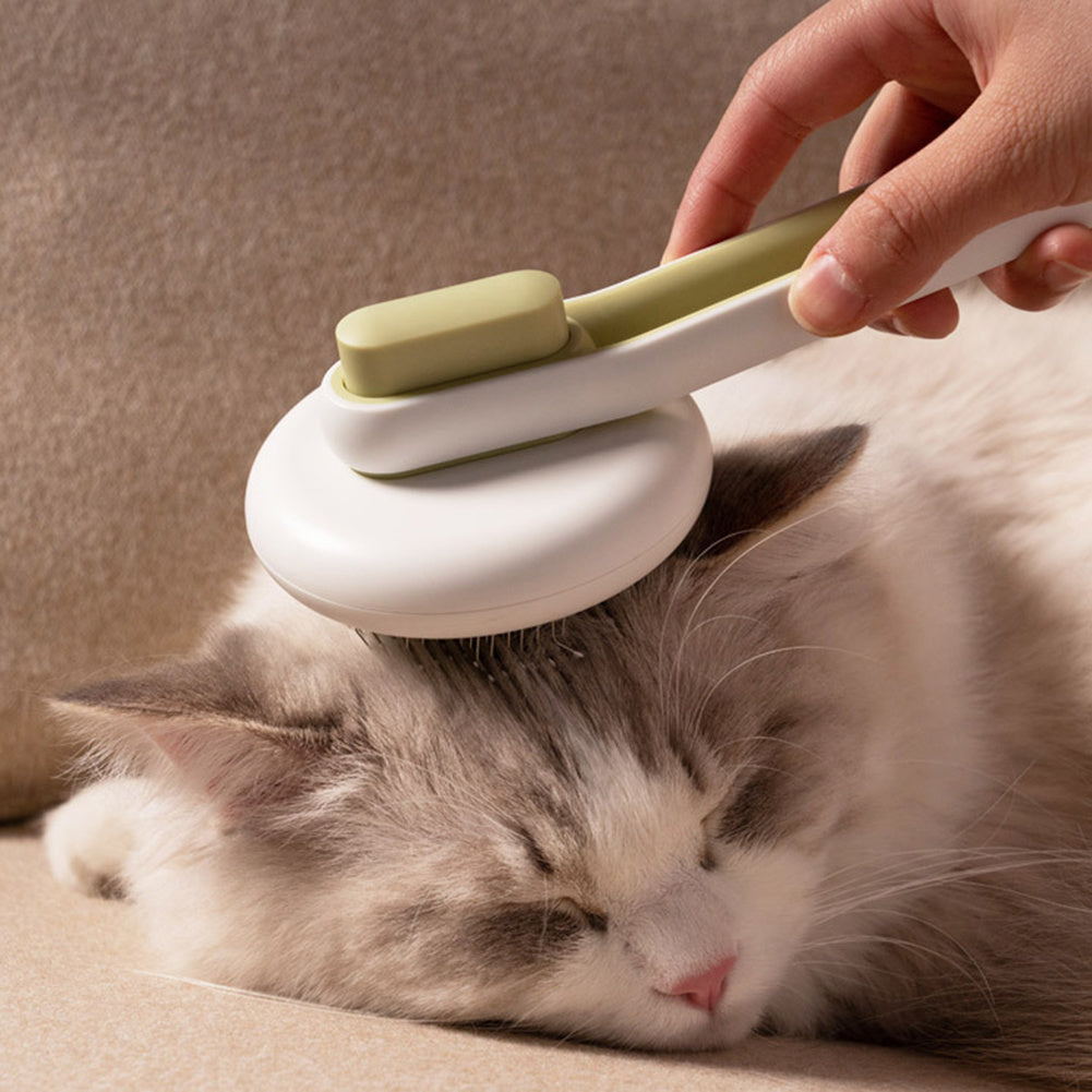 Best Brush for Cats - Reduce Shedding & Boost Fur Health