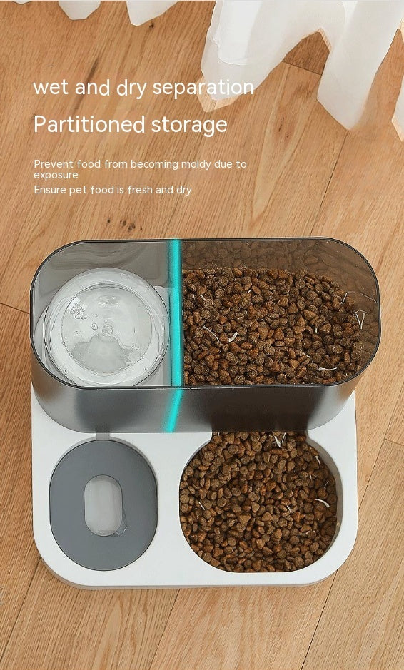 Pet Visual Automatic Feeder