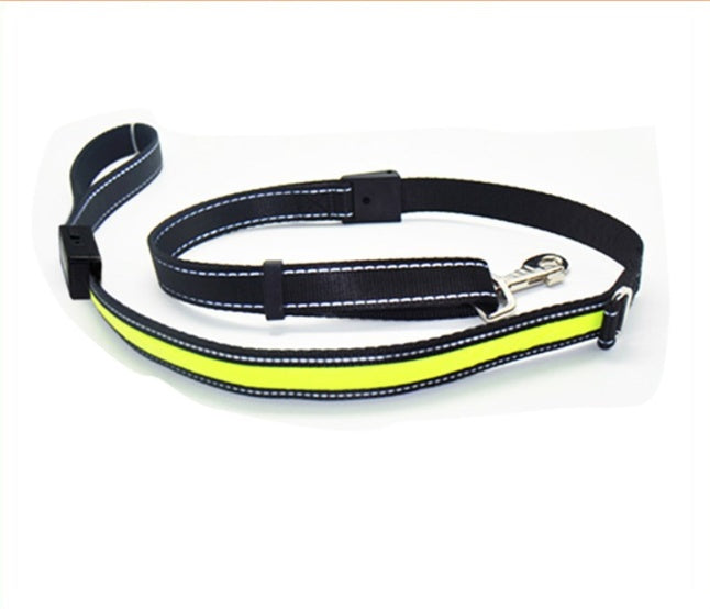 Fluorescent Dog Collar - High Visibility for Night Safety