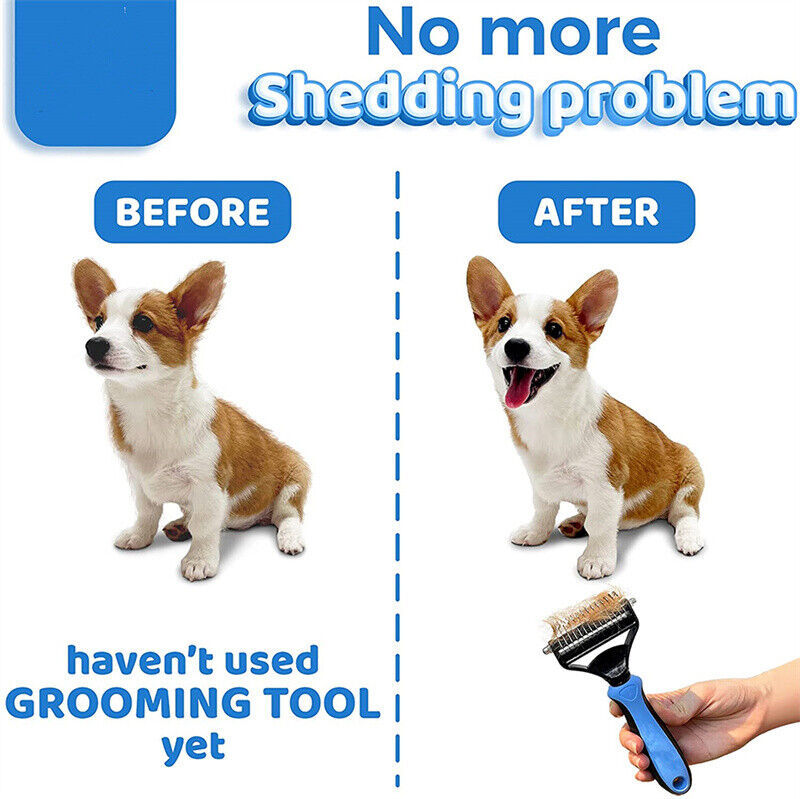 Slicker Brush for Dogs – Effective Grooming Tool for Tangle-Free Coats!