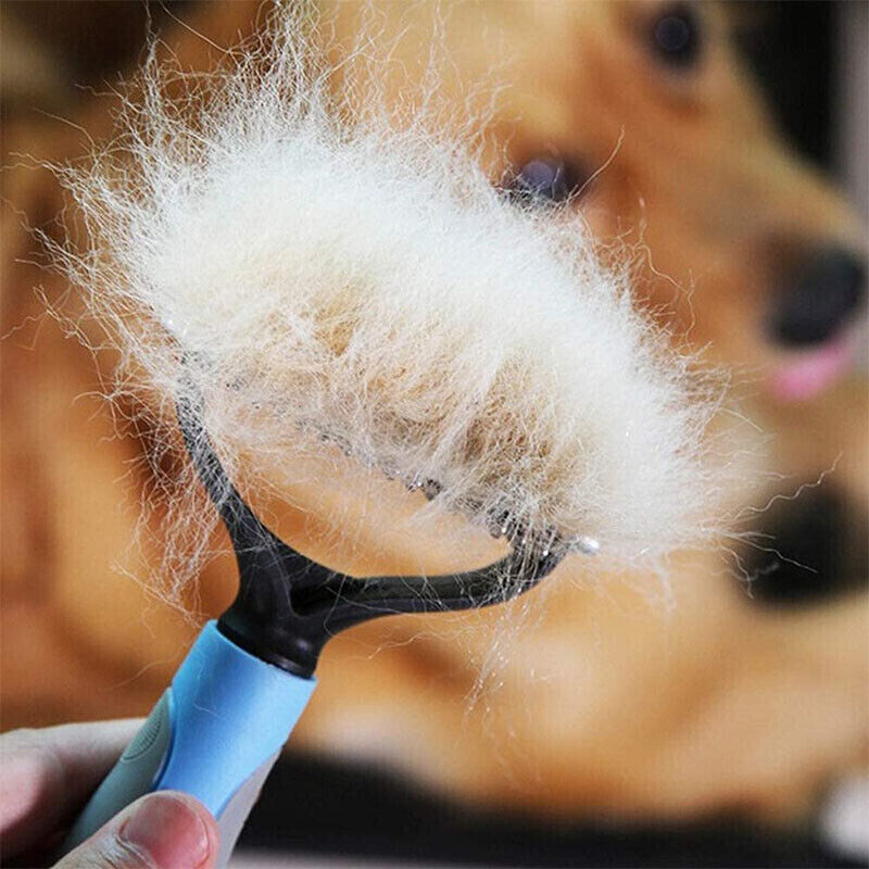 Slicker Brush for Dogs – Effective Grooming Tool for Tangle-Free Coats!