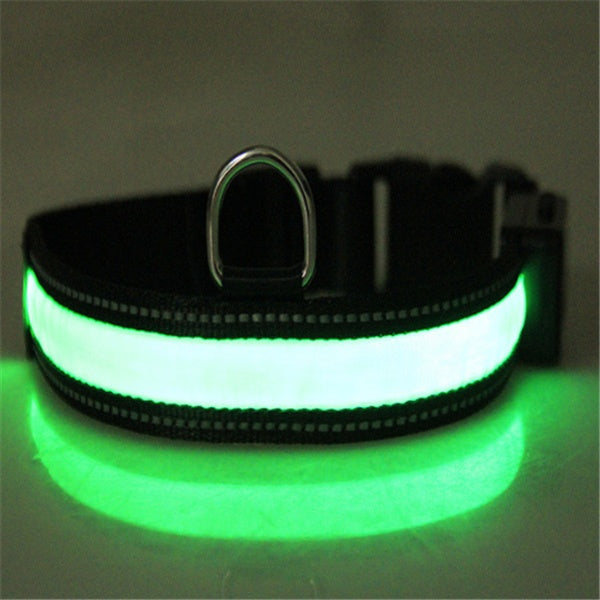 Fluorescent Dog Collar - High Visibility for Night Safety