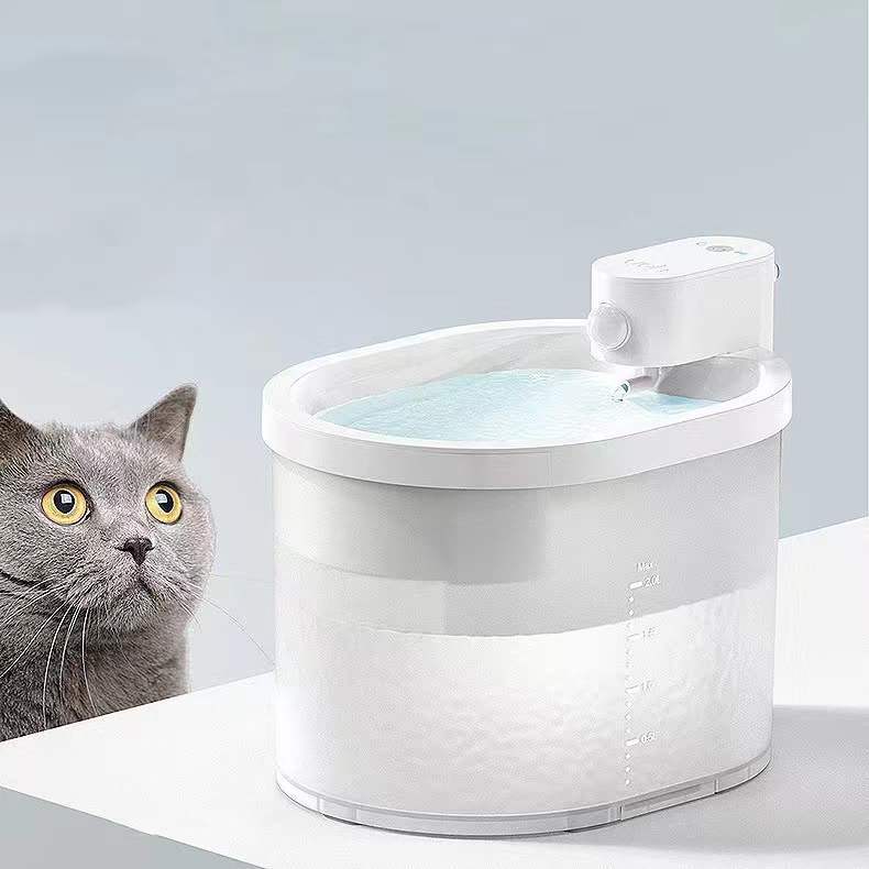 Cat Drinking Fountain: Keep Your Pet Hydrated!