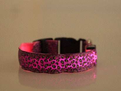 lighted dog collar