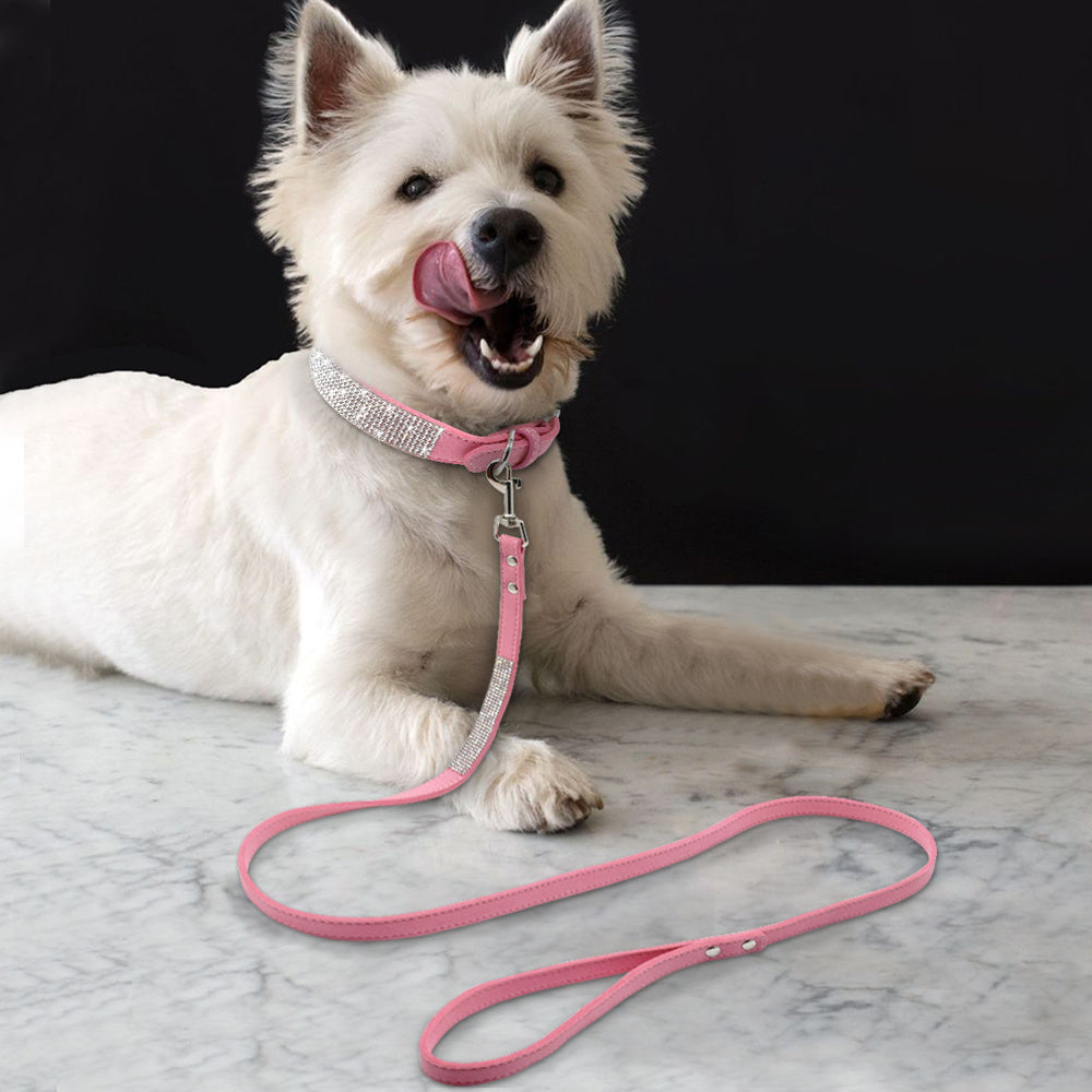 Hot Dog Collar - Stylish & Durable Collars for Every Dog