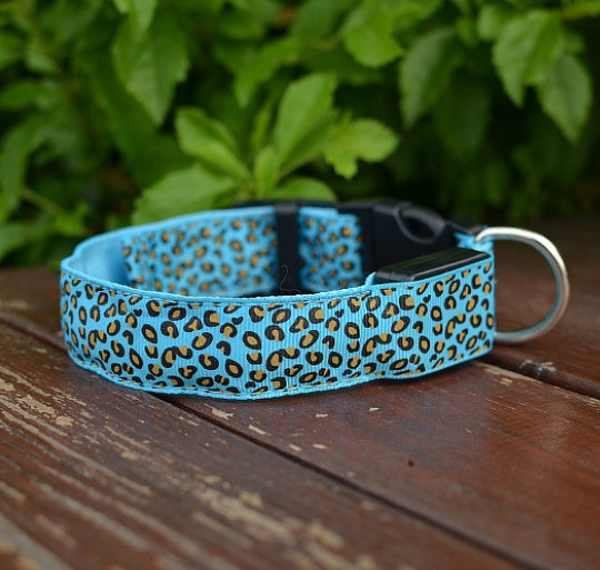 lighted dog collar