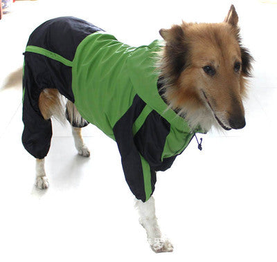 Large dog pet raincoat