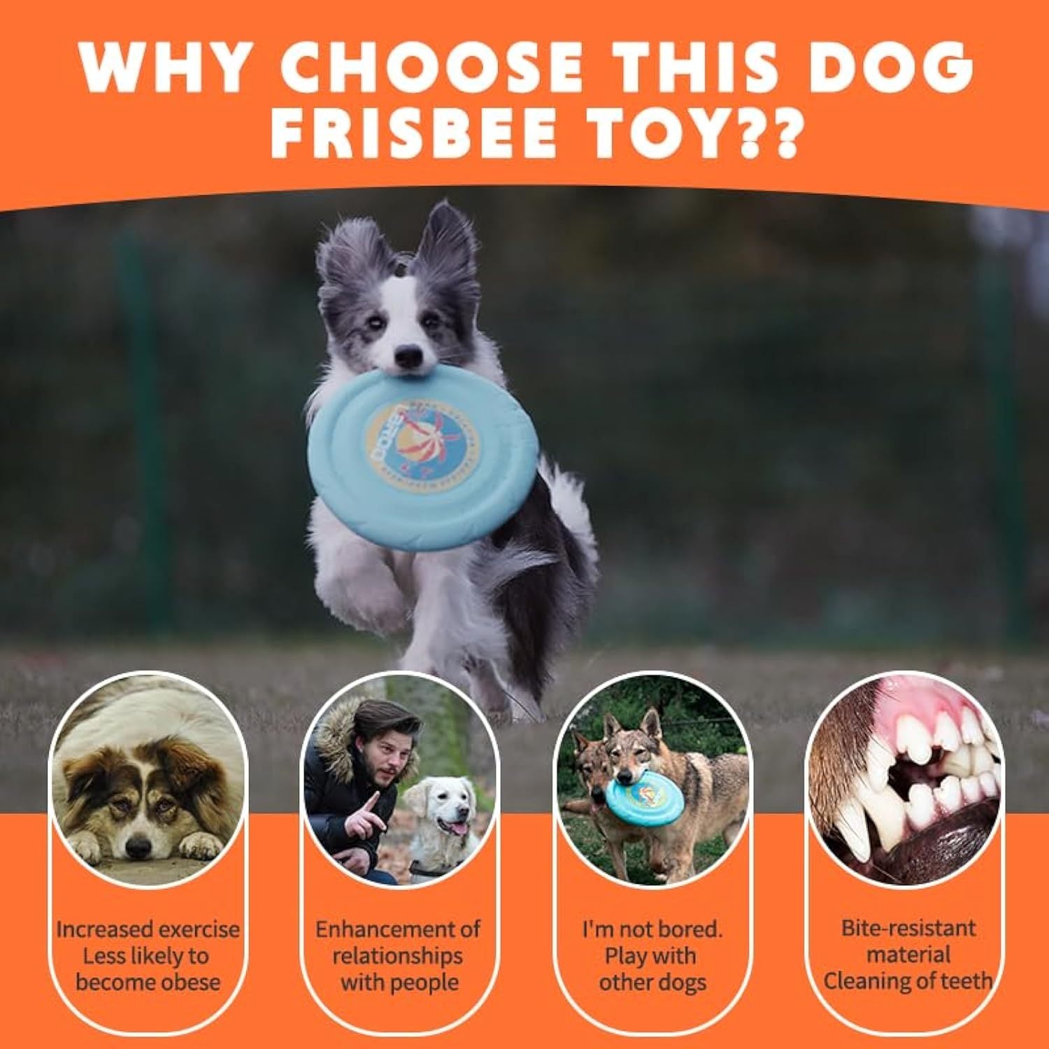 Flying Disc - Fun & Durable Outdoor Toy for All Ages