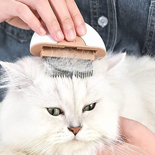 Best Dog Brush for All Coat Types – Grooming Made Easy