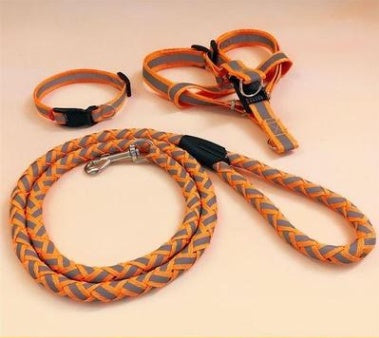 Pet dog leash