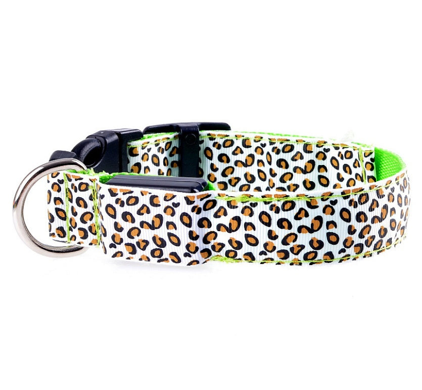 lighted dog collar