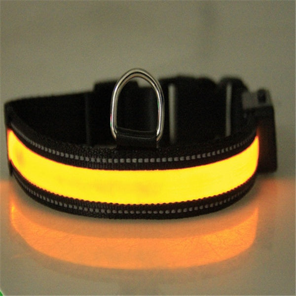 Fluorescent Dog Collar - High Visibility for Night Safety