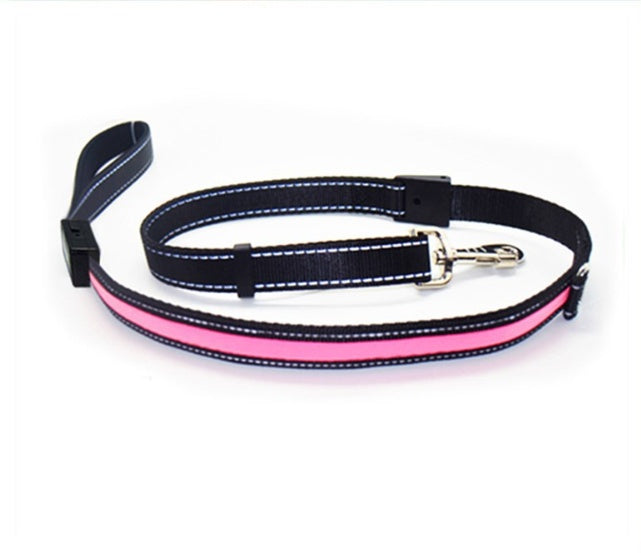 Fluorescent Dog Collar - High Visibility for Night Safety