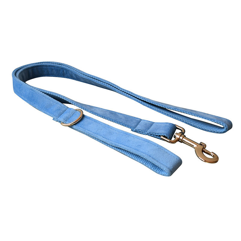 Top 5 Dog Collars for Style & Comfort