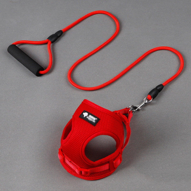 Puppy Collar And Leash