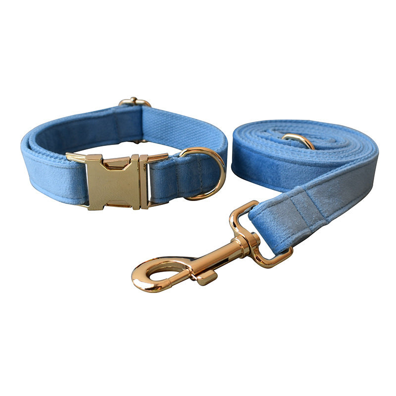 Top 5 Dog Collars for Style & Comfort