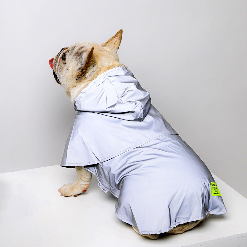 Pet Raincoat with Reflective Strips: The Perfect Solution for Night Walks