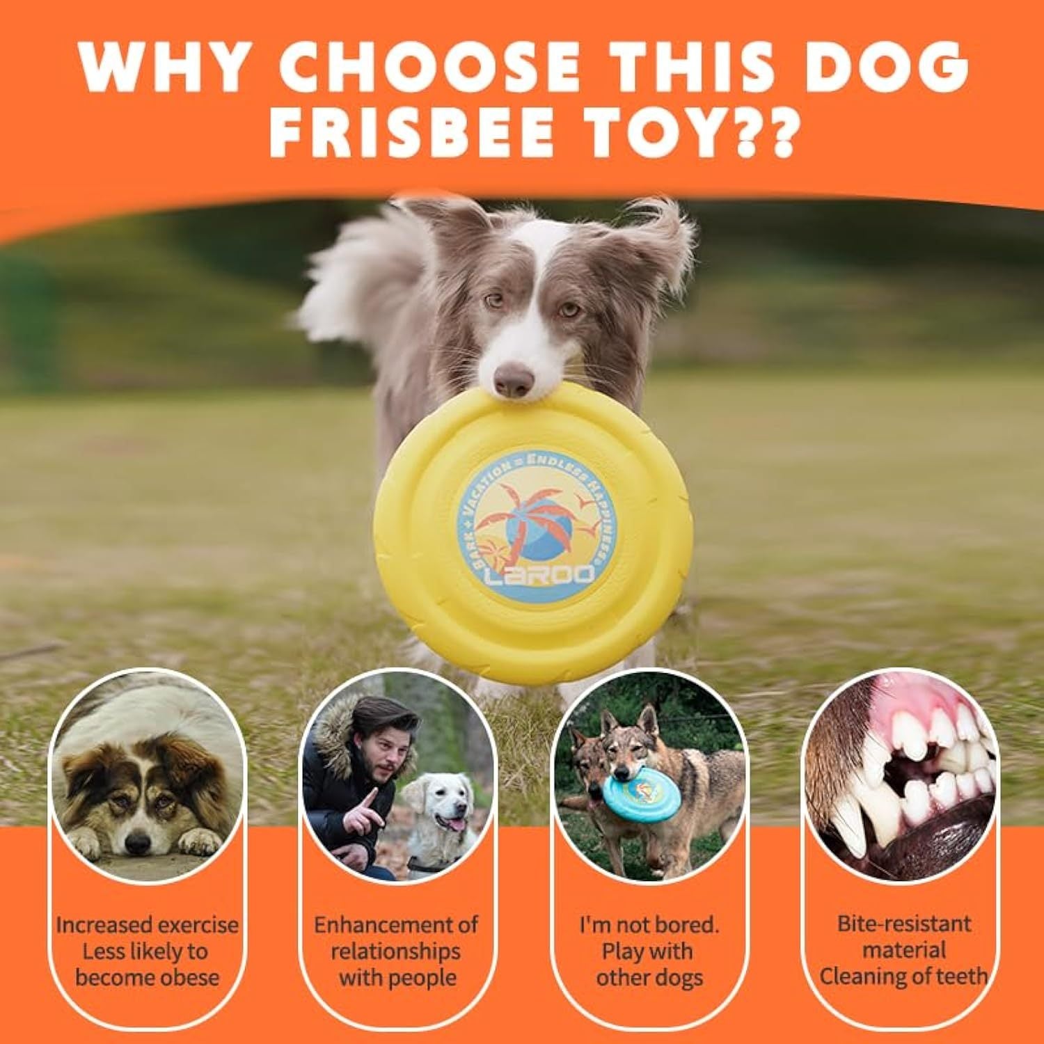 Flying Disc - Fun & Durable Outdoor Toy for All Ages