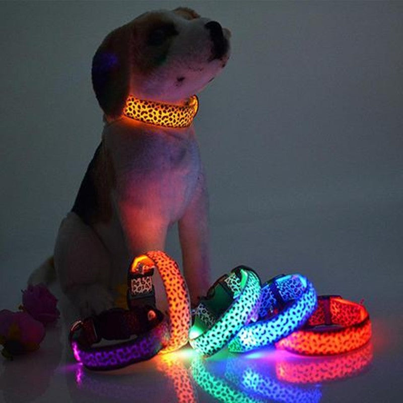 lighted dog collar