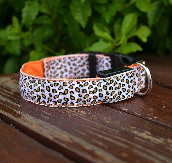 lighted dog collar