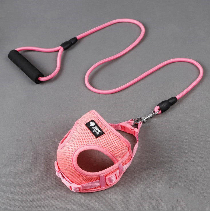 Puppy Collar And Leash