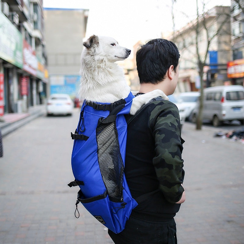 Dogs Backpack - Comfortable & Stylish Carrier for Pets