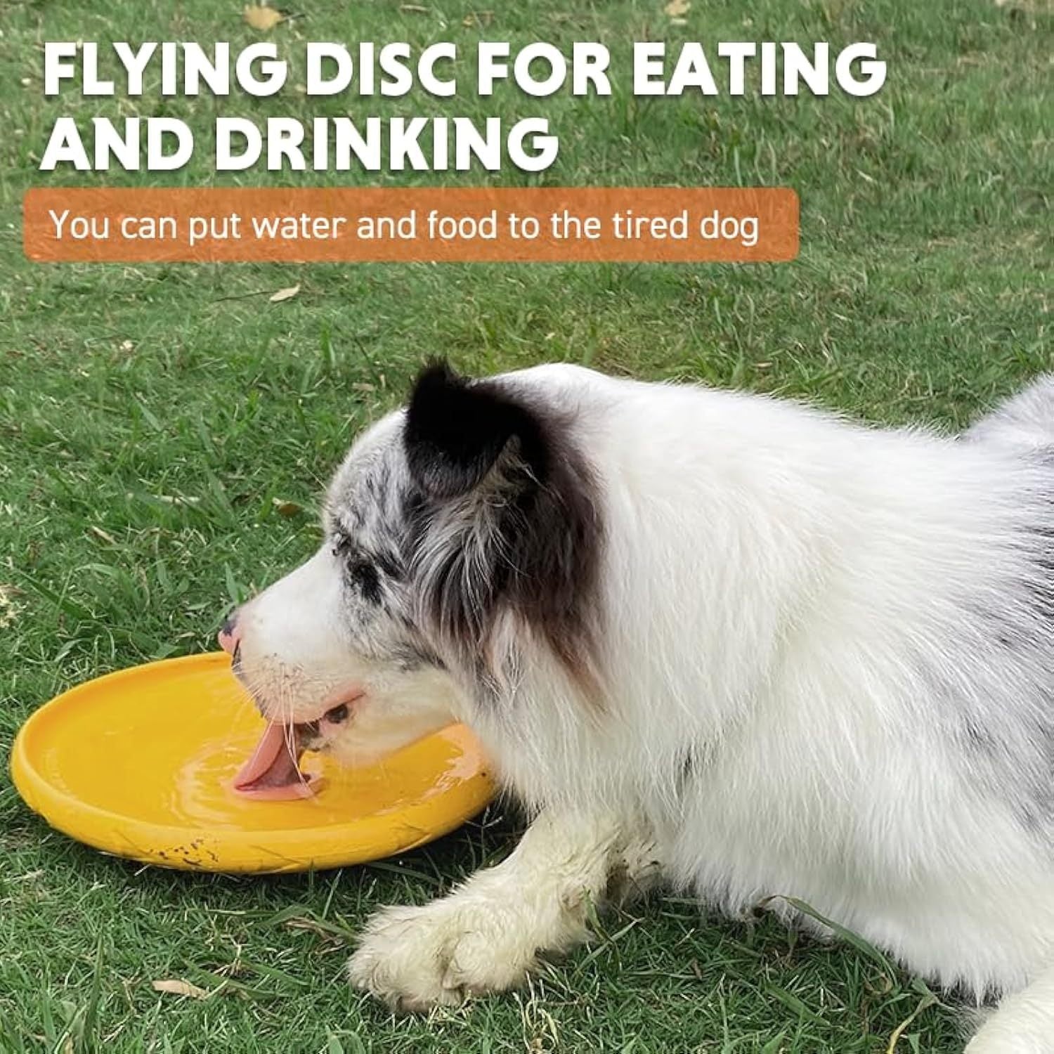 Flying Disc - Fun & Durable Outdoor Toy for All Ages