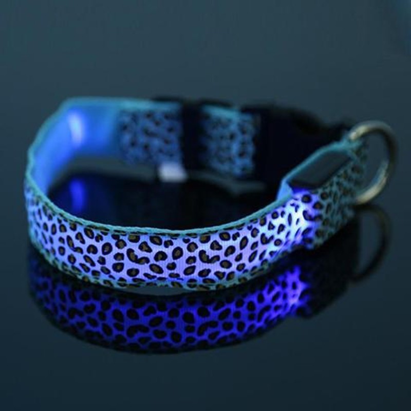 lighted dog collar