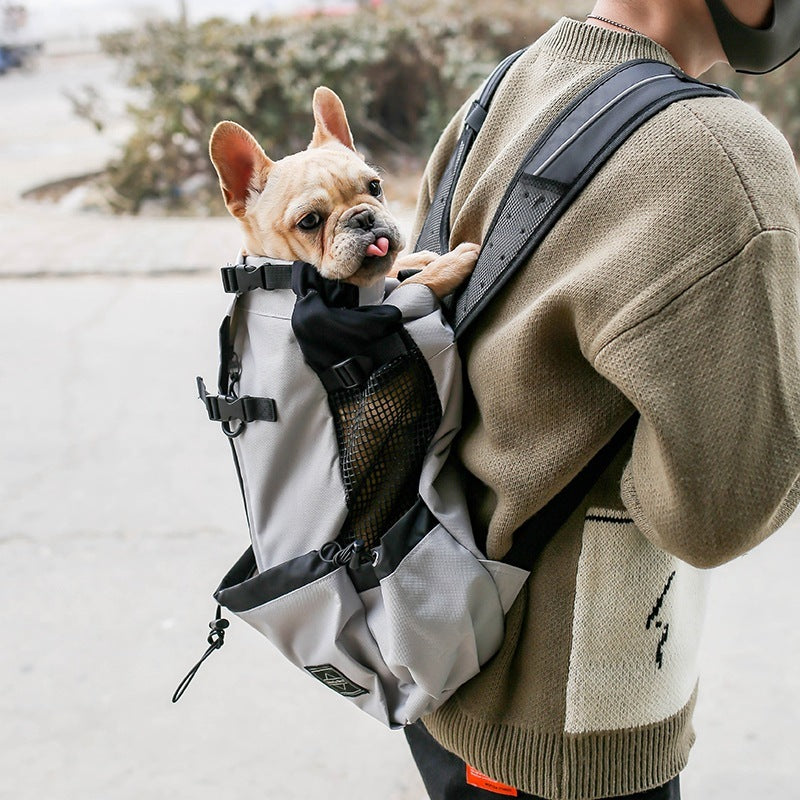 Dogs Backpack - Comfortable & Stylish Carrier for Pets