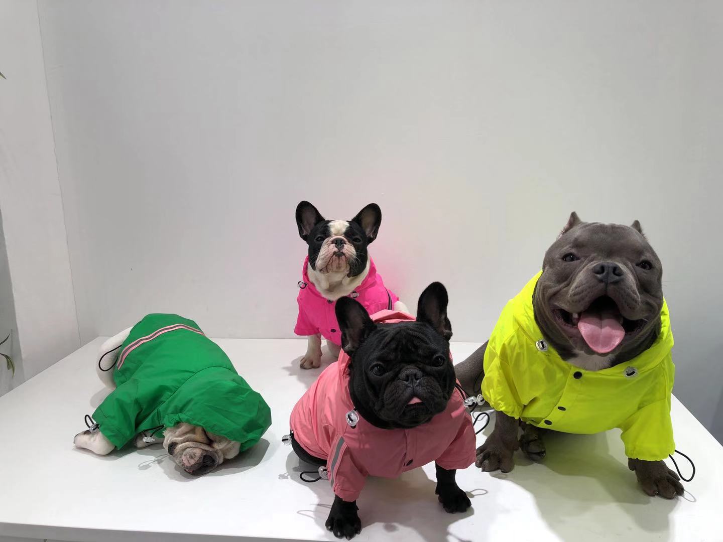 Pet reflective waterproof raincoat