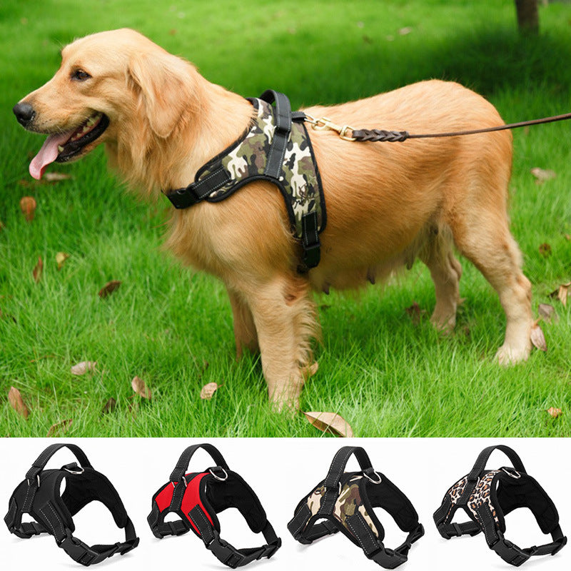 Pet Supplies Medium and Large  Dog Collar