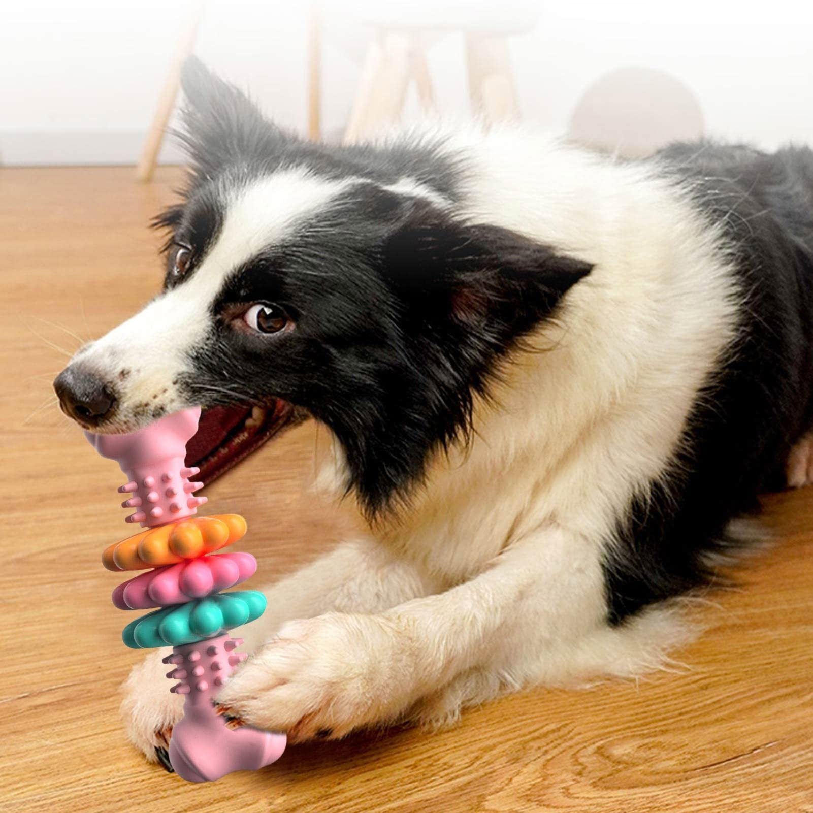 Indestructible TPR Dog Chew Toy - Teeth Cleaning Bone