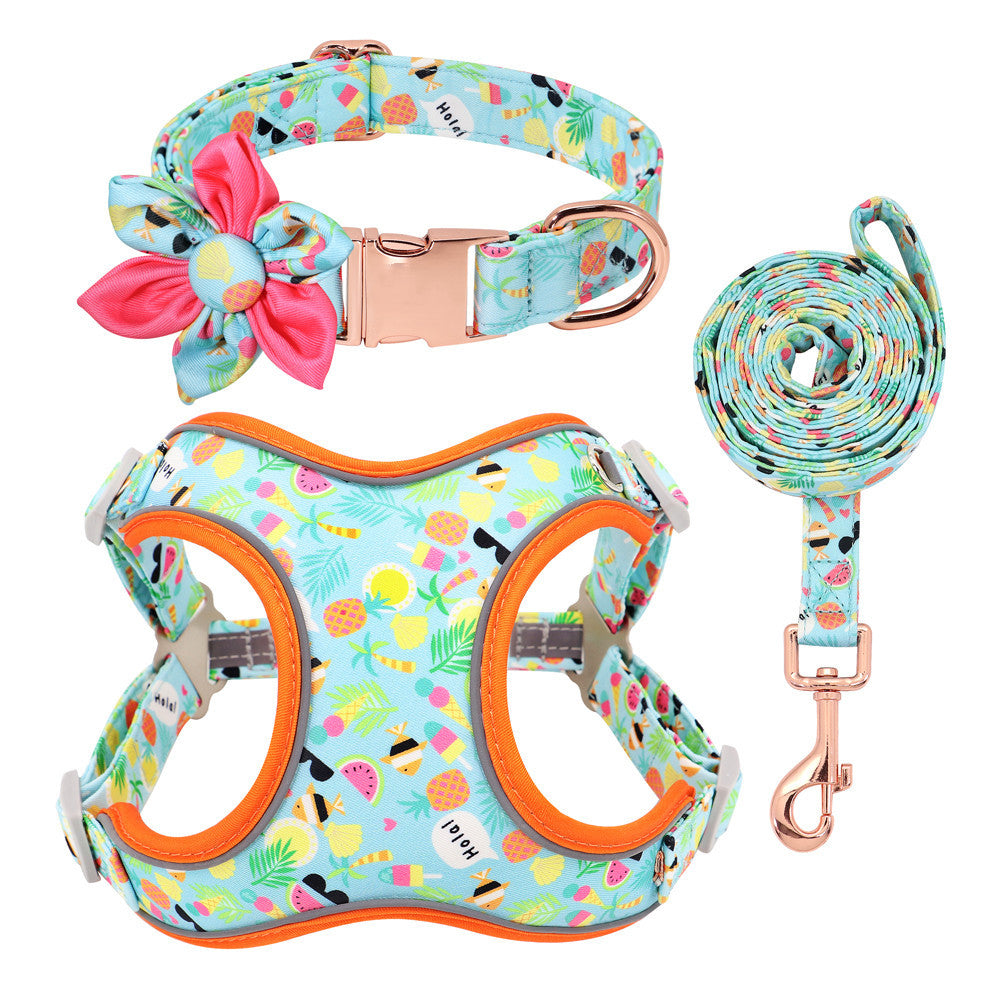 Top 5 Stylish & Durable Dog Collars